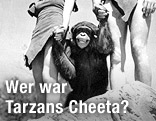 Johnny Weissmuller, als Tarzan, Maureen O'Sullivan als Jane und Cheeta in einer Szene aus 1932 - Tarzan the Ape Man