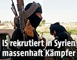 Ein Kämpfer der Extremisten-Miliz Islamischer Staat (IS)