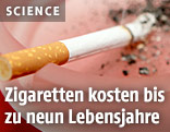 Zigarette im Aschenbecher