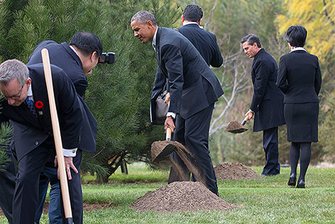 US-Präsident Barack Obama pflanzt einen Baum