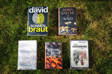 Fünf Bücher liegen im Gras