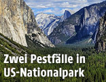 Yosemite Park