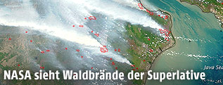 Satellitenbild der Waldbrände