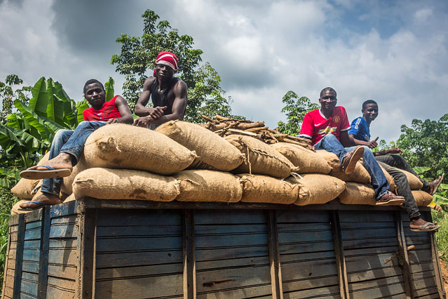 Kakaobauern in der Elfenbeinküste