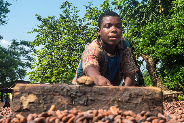 Kakaobauer in der Elfenbeinküste