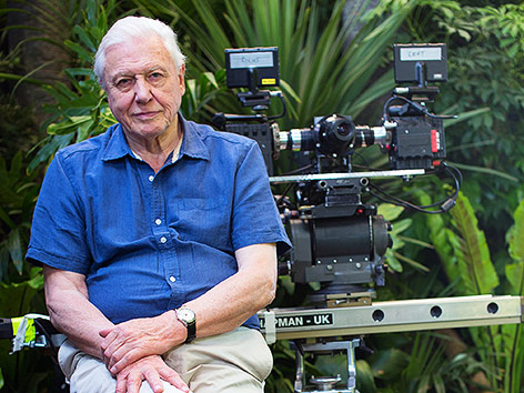 Tierfilmer und Naturforscher David Attenborough
