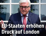 Deutschlands Außenminister Frank-Walter Steinmeier