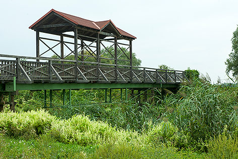 Brücke von Andau