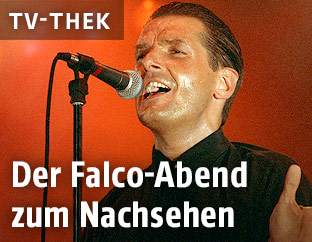 Falco beim Donauinselfest 1993