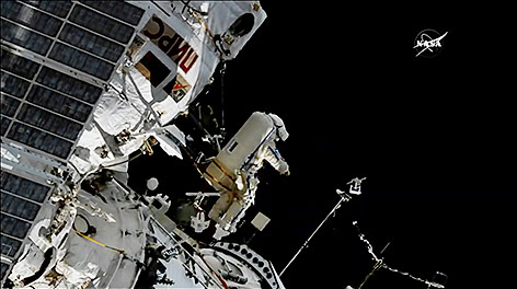 Antenne für Tierbeobachtung erfolgreich an ISS montiert